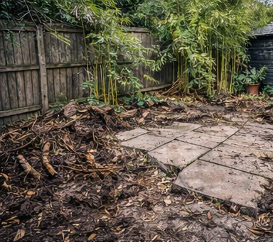 Ground cleared and levelled so any missed regrowth is visible immediately during the monitoring period. Cleared bamboo site exposing a patio with the remaining boundary stand behind